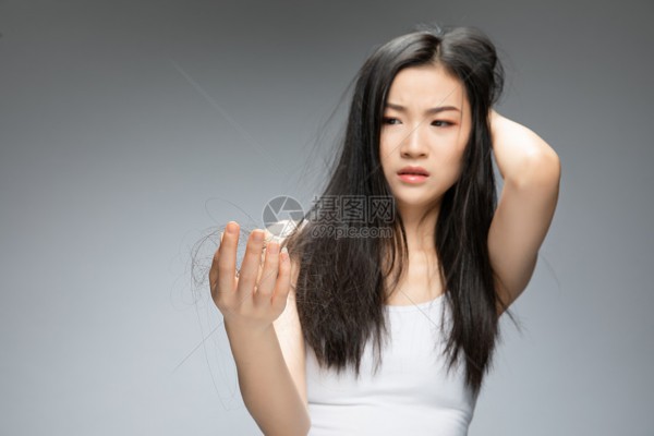 白茶风尚新潮涌，养生茶饮领航生活新篇章